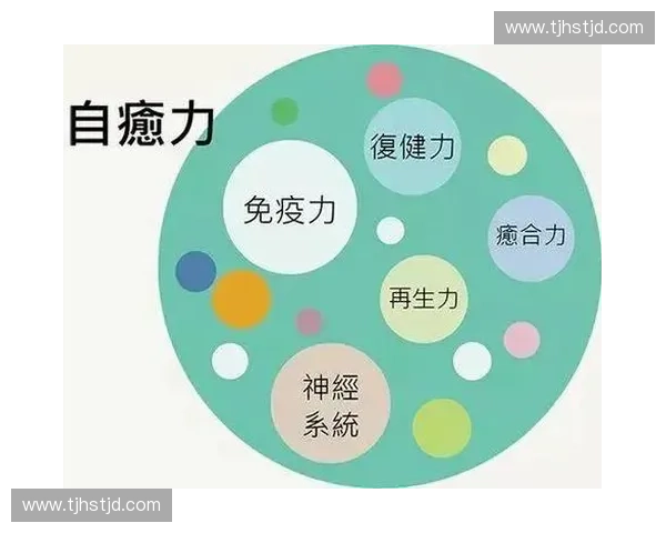 运动康复的全面探索：从伤后修复到提升身体机能的全方位方案